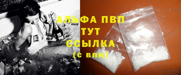 ГАЛЛЮЦИНОГЕННЫЕ ГРИБЫ Гусев