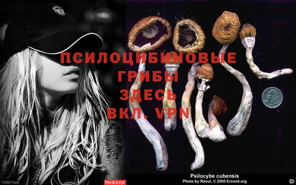 кристаллы Гусиноозёрск