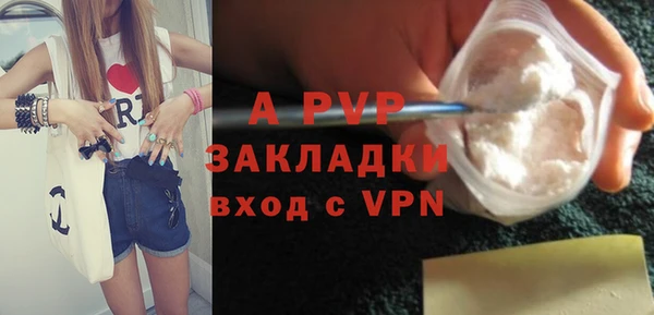 ГАЛЛЮЦИНОГЕННЫЕ ГРИБЫ Гусев