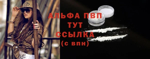 ГАЛЛЮЦИНОГЕННЫЕ ГРИБЫ Гусев
