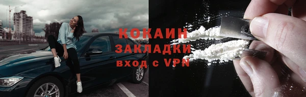 ГАЛЛЮЦИНОГЕННЫЕ ГРИБЫ Гусев