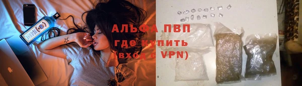 ГАЛЛЮЦИНОГЕННЫЕ ГРИБЫ Гусев