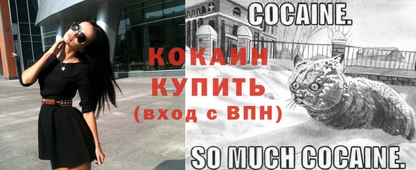 apvp Гусь-Хрустальный