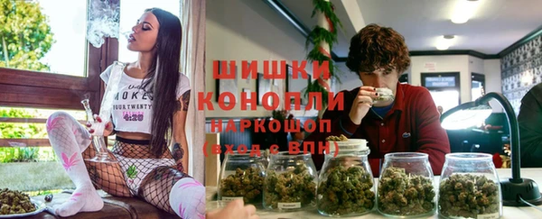 apvp Гусь-Хрустальный
