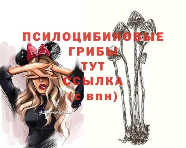 ГАЛЛЮЦИНОГЕННЫЕ ГРИБЫ Гусев