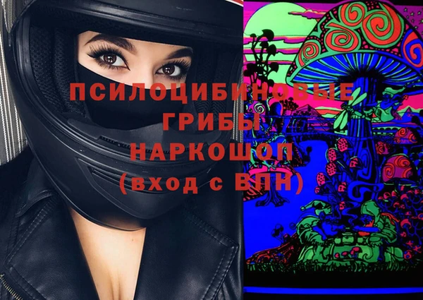 ГАЛЛЮЦИНОГЕННЫЕ ГРИБЫ Гусев
