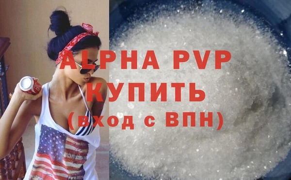ГАЛЛЮЦИНОГЕННЫЕ ГРИБЫ Гусев