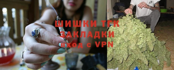 ГАЛЛЮЦИНОГЕННЫЕ ГРИБЫ Гусев