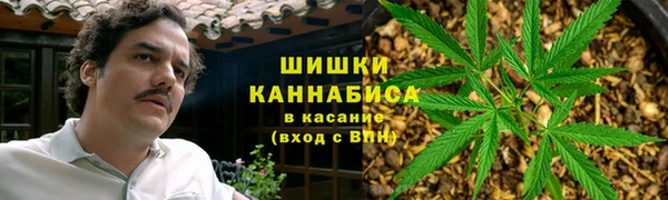 apvp Гусь-Хрустальный